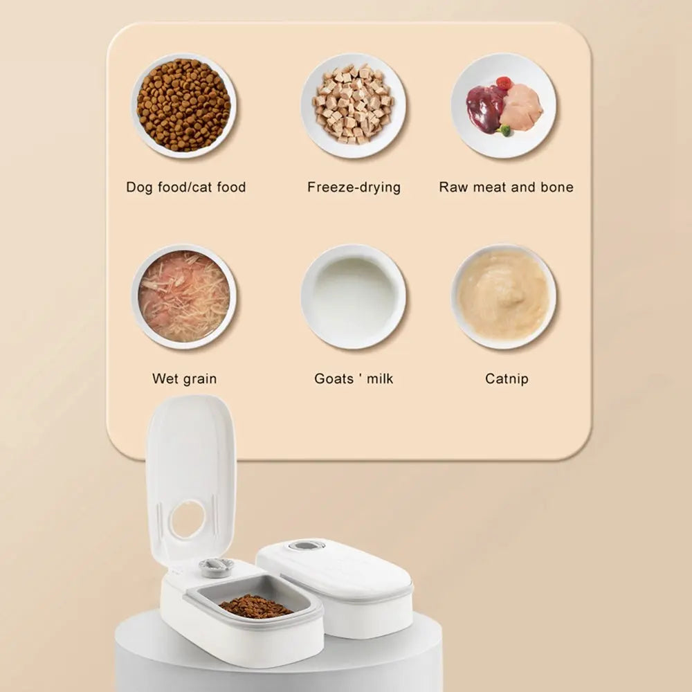 Automatic Pet Feeder Smart Food Dispenser For Cats Dogs Timer Stainless Steel Bowl Auto Dog Cat Pet Feeding Pets Supplies - So ist Leben