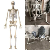 Halloween Menschliches Skelett Hängende Requisiten Hause Böse Party Dekoration Horror Gruselige Bewegliche Große Schädel Dekorationen So ist Leben