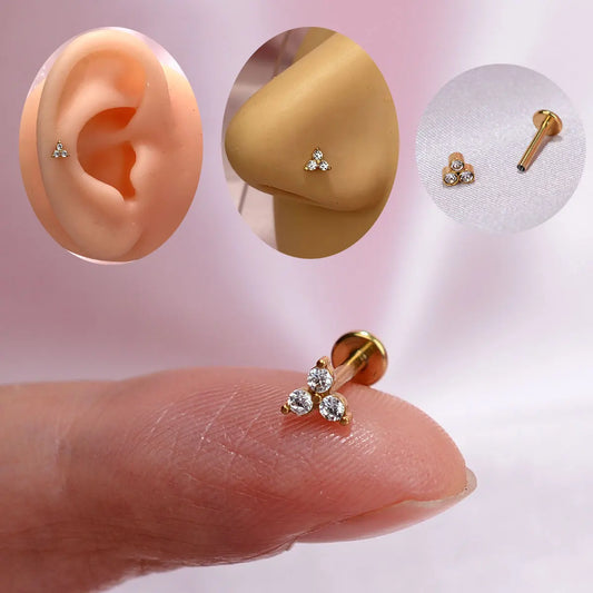 1 STÜCK Neuer Chirurgenstahl Winziger Zirkon Kristall Tragus Helix Piercing Labret Lippenbolzen Nasenring Innengewinde Niedlicher Körperschmuck So ist Leben