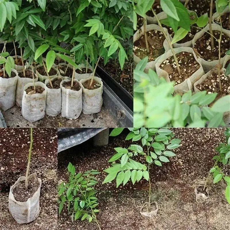 Eco-Friendly Biodegradable Nursery Bags for Plant Growth - Set of 100 Non-woven Fabric Seed Sowing Flower Pots Gardening Tools - So ist Leben