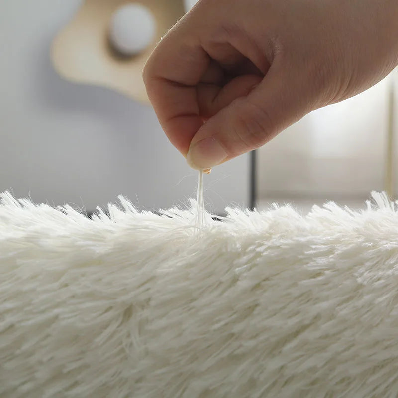 Weißer flauschiger Flurteppich Modernes Wohnzimmer - So ist Leben
