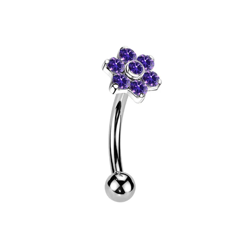 Großhandel ASTM F136 Titan Blumen Rook Piercing Sterne Augenbraue Intarsien CZ 16G Innengewinde Banane Gebogene Lippe Nabel Piercing So ist Leben
