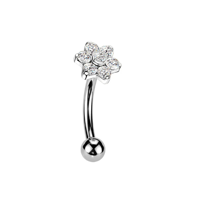 Großhandel ASTM F136 Titan Blumen Rook Piercing Sterne Augenbraue Intarsien CZ 16G Innengewinde Banane Gebogene Lippe Nabel Piercing So ist Leben