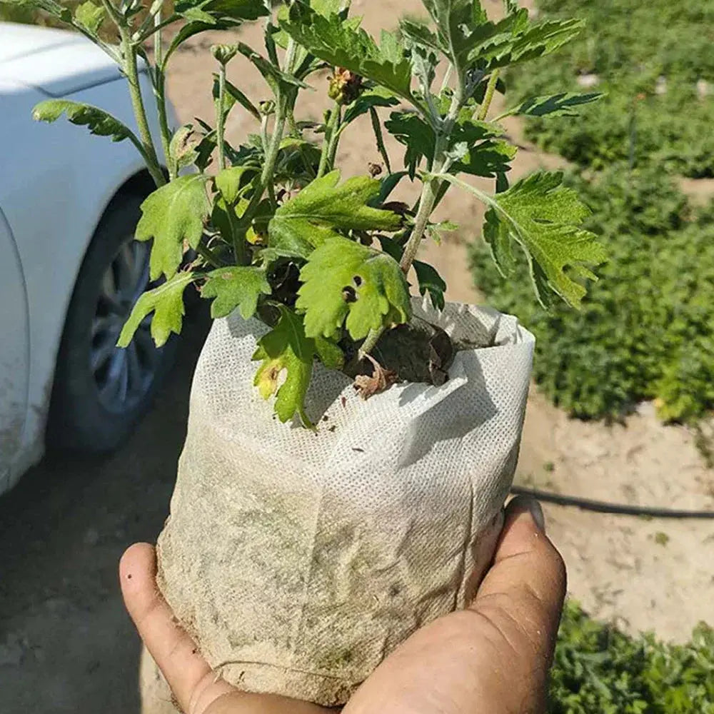 Eco-Friendly Biodegradable Nursery Bags for Plant Growth - Set of 100 Non-woven Fabric Seed Sowing Flower Pots Gardening Tools - So ist Leben