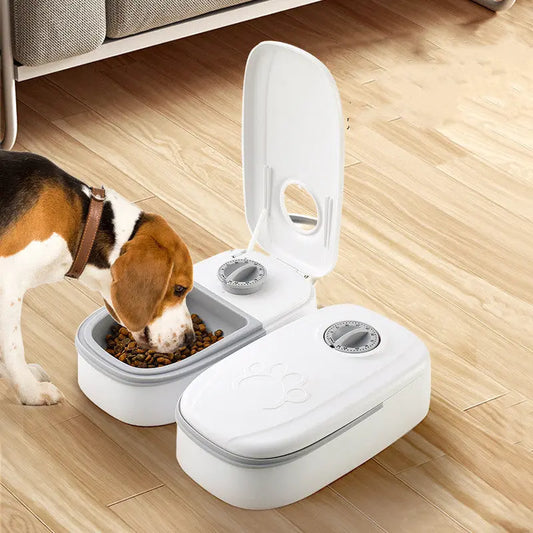 Automatic Pet Feeder Smart Food Dispenser For Cats Dogs Timer Stainless Steel Bowl Auto Dog Cat Pet Feeding Pets Supplies - So ist Leben