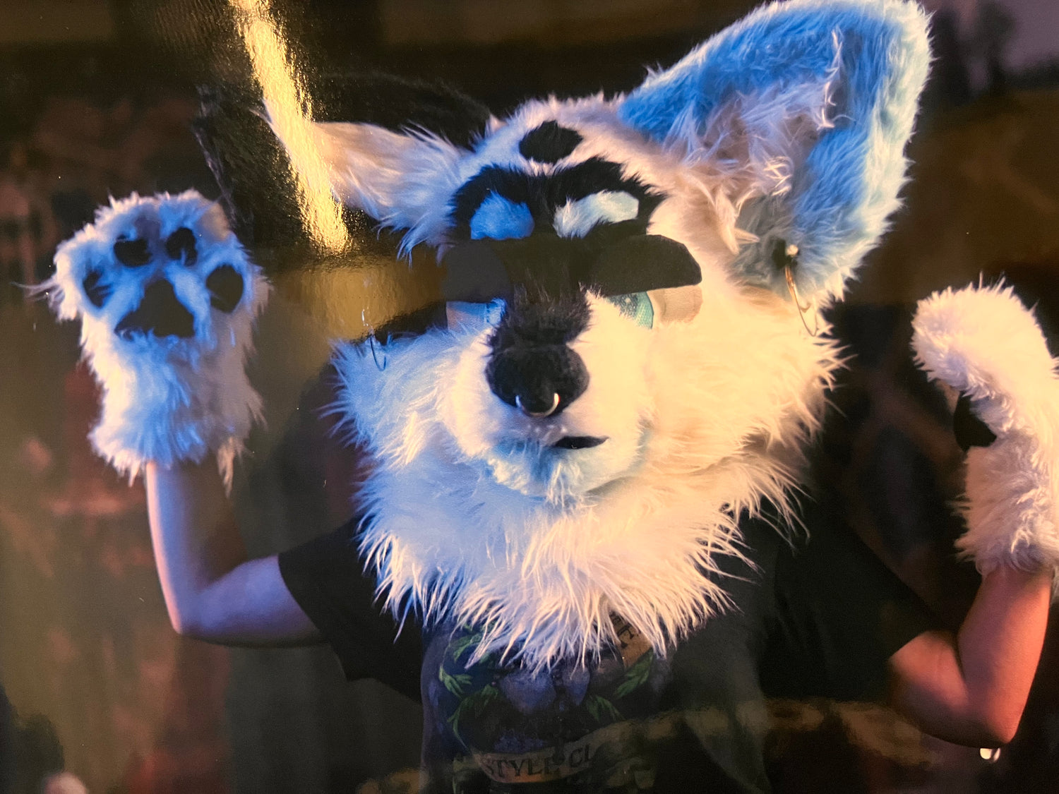 Cosplay 🐾