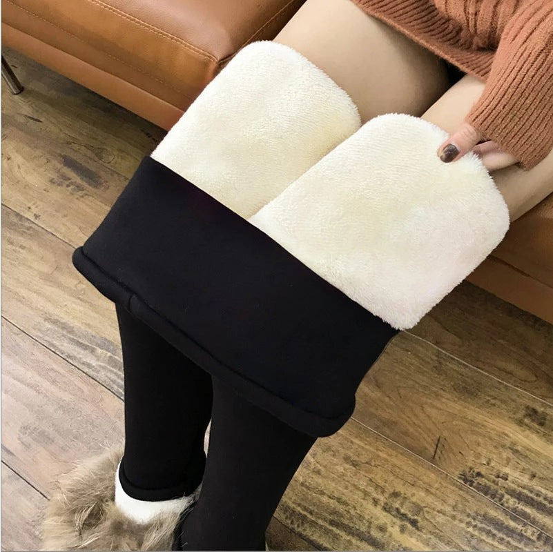 c21e6e7937af66cb1e10f83f6861fe04