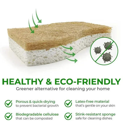Eco-Friendly Natural Plant Scrub Sponges and Coconut Scrubber Sponge Natural Sponges for Dishes Eco Friendly Kitchen Accessories - So ist Leben