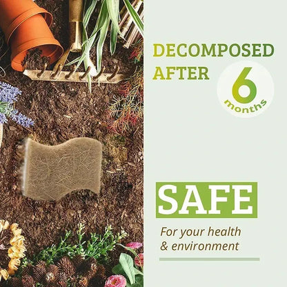 Eco-Friendly Natural Plant Scrub Sponges and Coconut Scrubber Sponge Natural Sponges for Dishes Eco Friendly Kitchen Accessories - So ist Leben