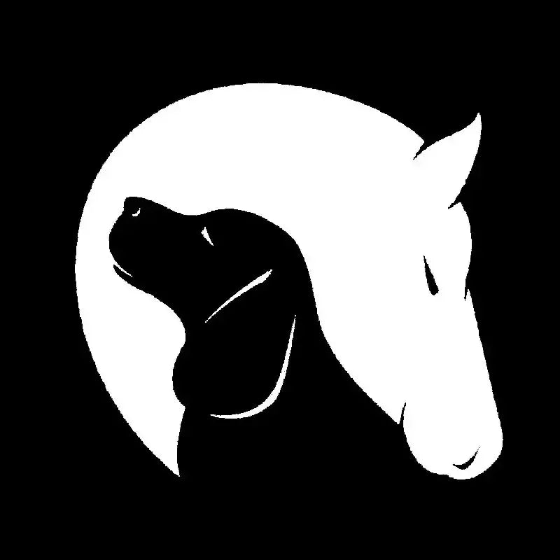 Hund und Pferd Freundschaft Liebe Tiere Dekor Auto Vinyl Aufkleber Stiker schwarz So ist Leben