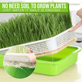 Micro greens Sprouter Tray Hydro ponik/Keims chale für Sprossen Gemüsegarten Garten DIY Kindergarten Topf So ist Leben