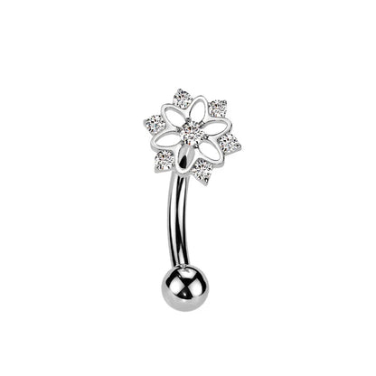 Großhandel ASTM F136 Titan Blumen Rook Piercing Sterne Augenbraue Intarsien CZ 16G Innengewinde Banane Gebogene Lippe Nabel Piercing So ist Leben