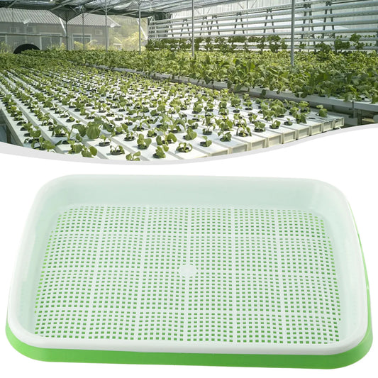 Micro greens Sprouter Tray Hydro ponik/Keims chale für Sprossen Gemüsegarten Garten DIY Kindergarten Topf So ist Leben