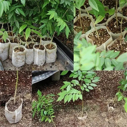 Eco-Friendly Biodegradable Nursery Bags for Plant Growth - Set of 100 Non-woven Fabric Seed Sowing Flower Pots Gardening Tools - So ist Leben