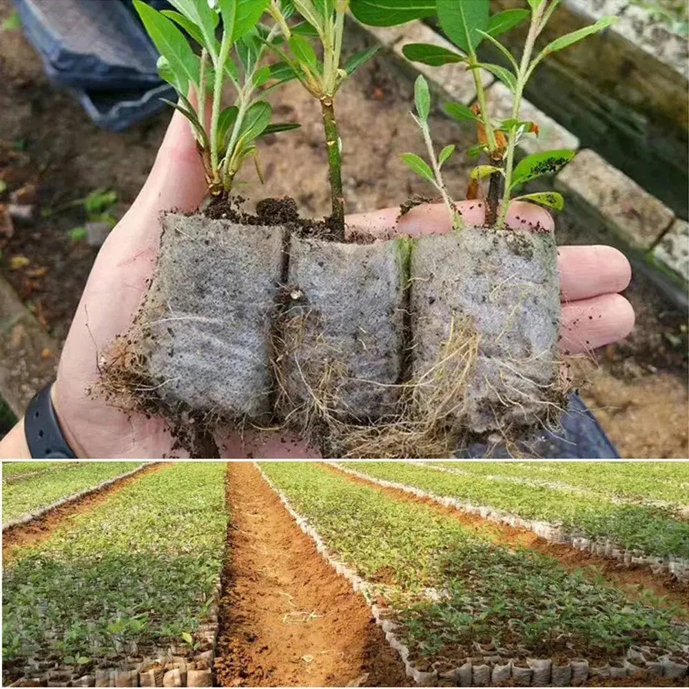 Eco-Friendly Biodegradable Nursery Bags for Plant Growth - Set of 100 Non-woven Fabric Seed Sowing Flower Pots Gardening Tools - So ist Leben