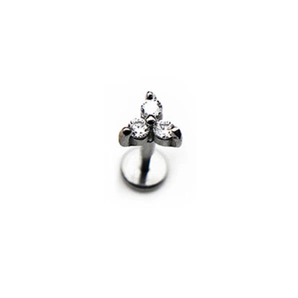 1 STÜCK Neuer Chirurgenstahl Winziger Zirkon Kristall Tragus Helix Piercing Labret Lippenbolzen Nasenring Innengewinde Niedlicher Körperschmuck So ist Leben