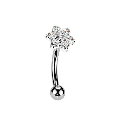 Großhandel ASTM F136 Titan Blumen Rook Piercing Sterne Augenbraue Intarsien CZ 16G Innengewinde Banane Gebogene Lippe Nabel Piercing So ist Leben