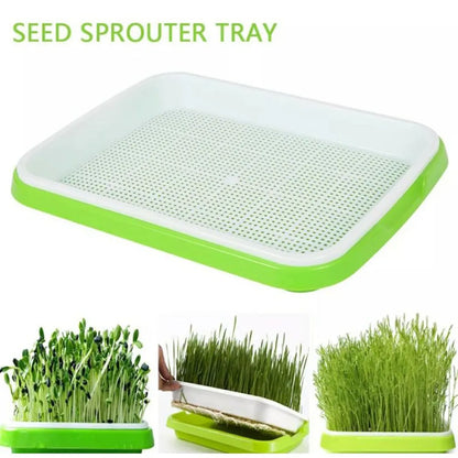 Micro greens Sprouter Tray Hydro ponik/Keims chale für Sprossen Gemüsegarten Garten DIY Kindergarten Topf So ist Leben