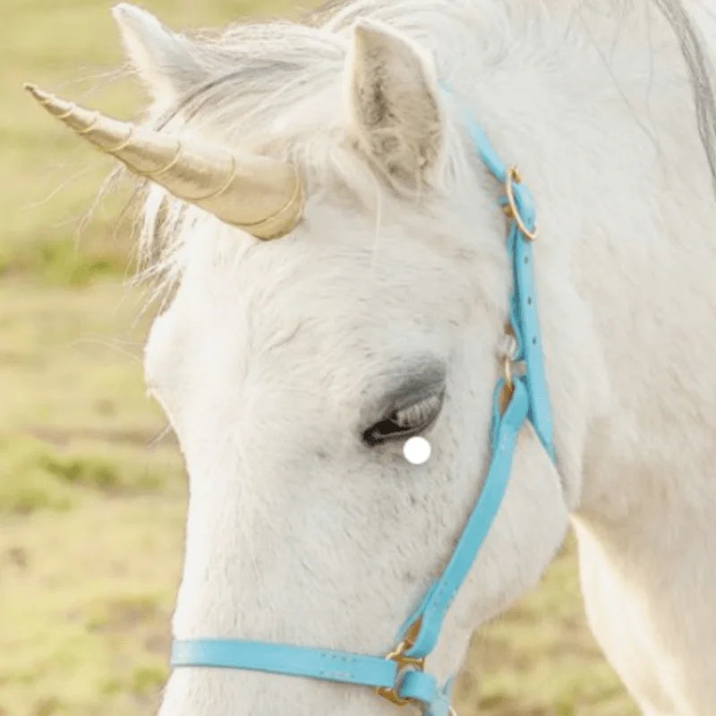 Set mit 2 Einhorn-Stirnbändern, verziert mit Hörnern und bunten Mähnen, bequem und ideal für Reitdekorationen So ist Leben