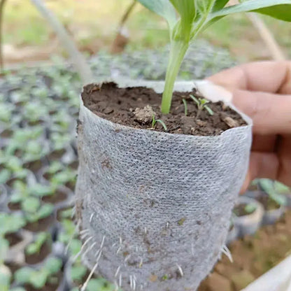 Eco-Friendly Biodegradable Nursery Bags for Plant Growth - Set of 100 Non-woven Fabric Seed Sowing Flower Pots Gardening Tools - So ist Leben