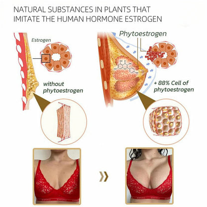 Papaya Supplement So ist Leben